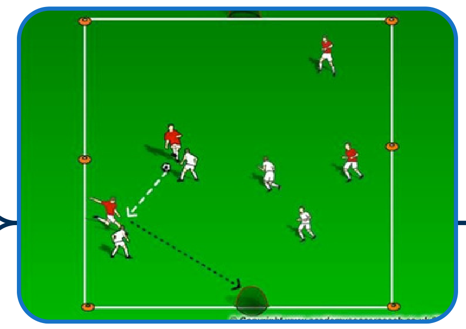 Expanded Small-Sided Activity field setup